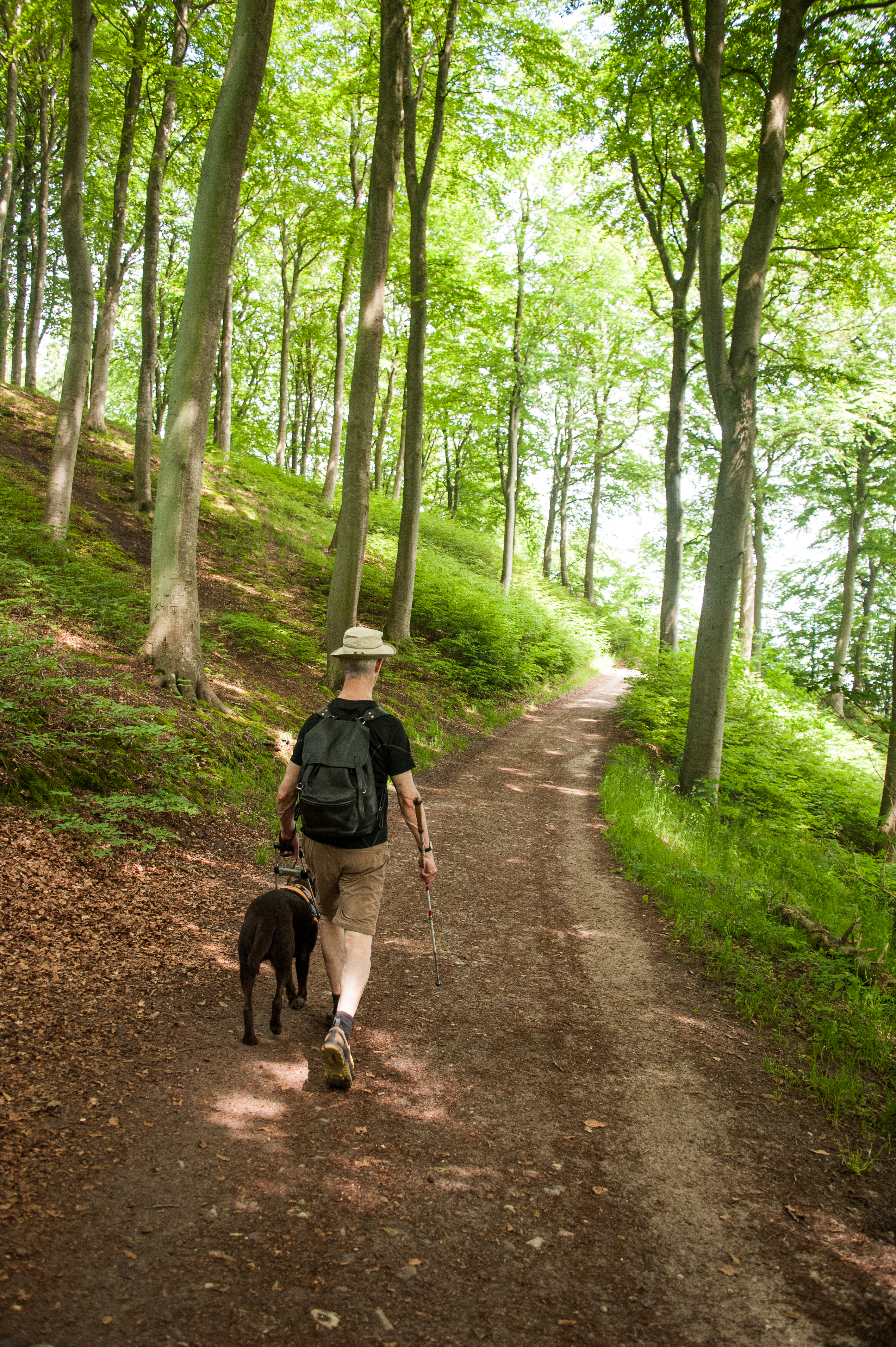 Billede fra vandretur.