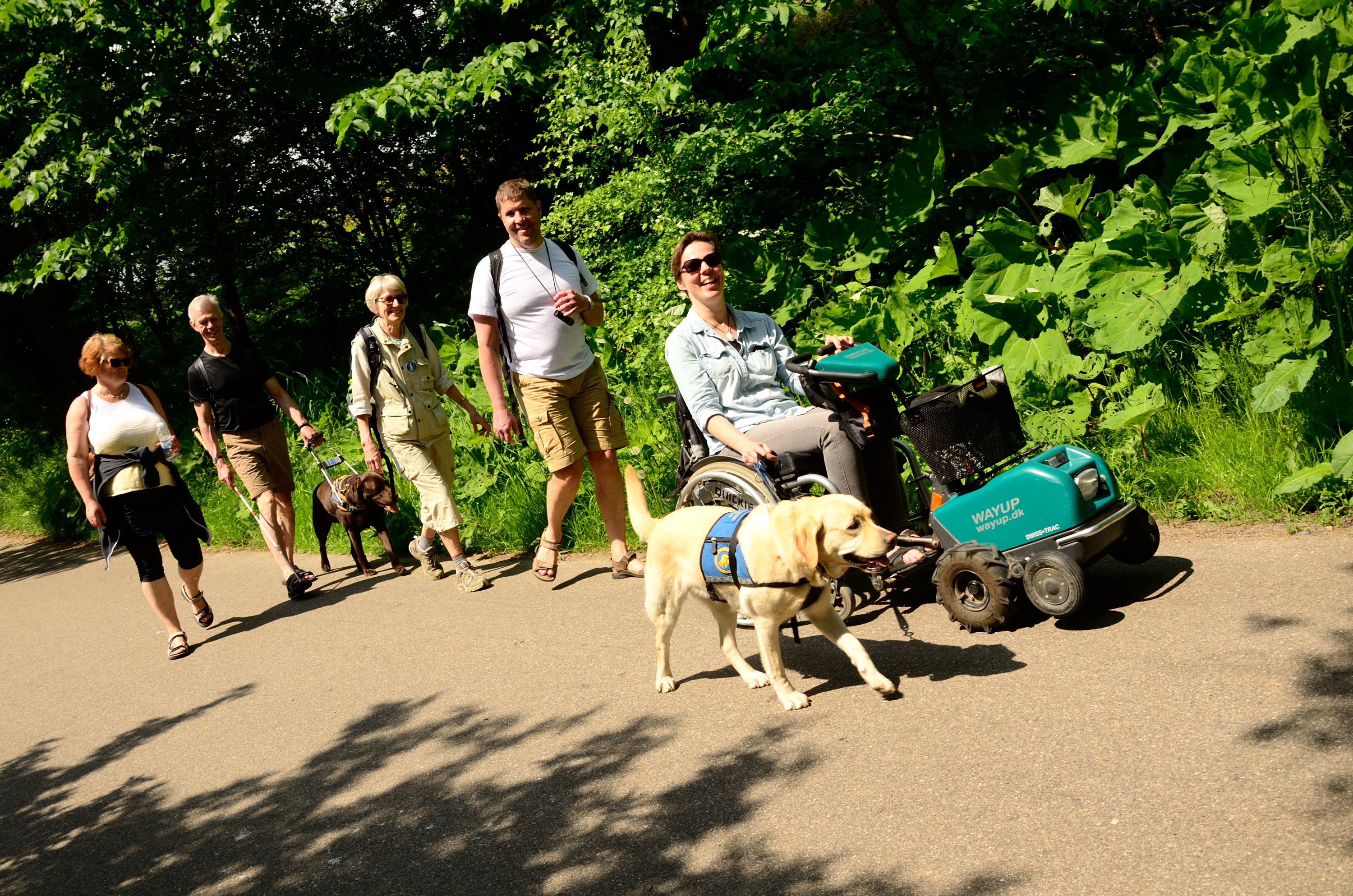 Foto fra vandreturen.